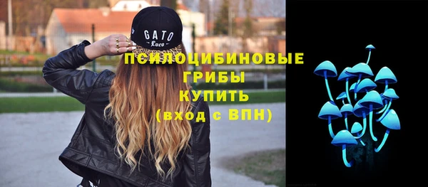 спиды Горно-Алтайск