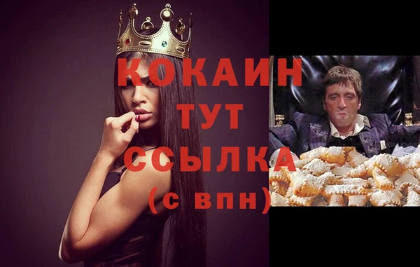 спиды Горно-Алтайск
