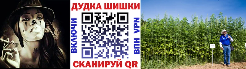 Купить где  Щёлково  Шишки марихуана OG Kush 